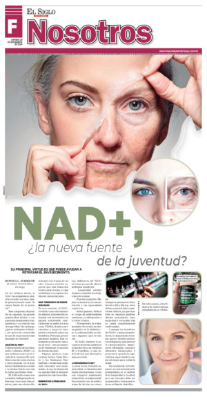 Nosotros página 4