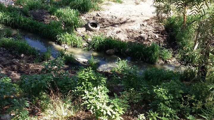 Lagunas de oxidación, sin funcionar en poblados - El Siglo Durango