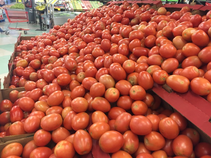 Durango, séptimo lugar en producción de tomate - El Siglo Durango
