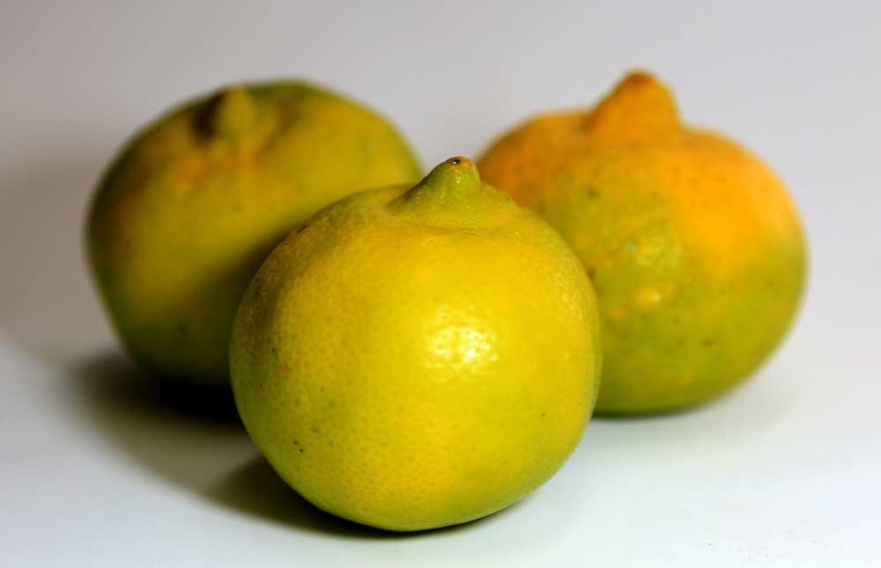 Lima, una fruta versátil