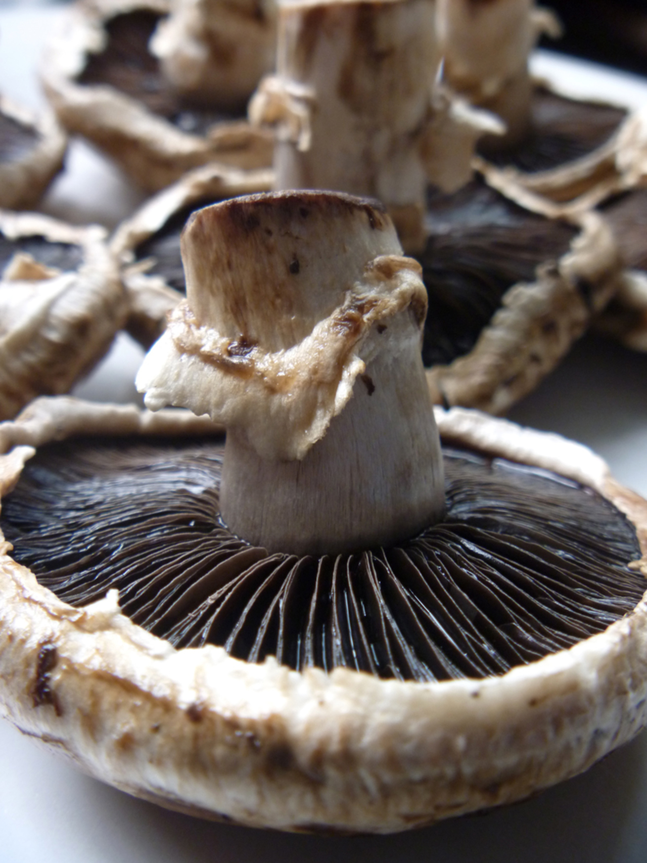 Cómo cocinar hongos portobello