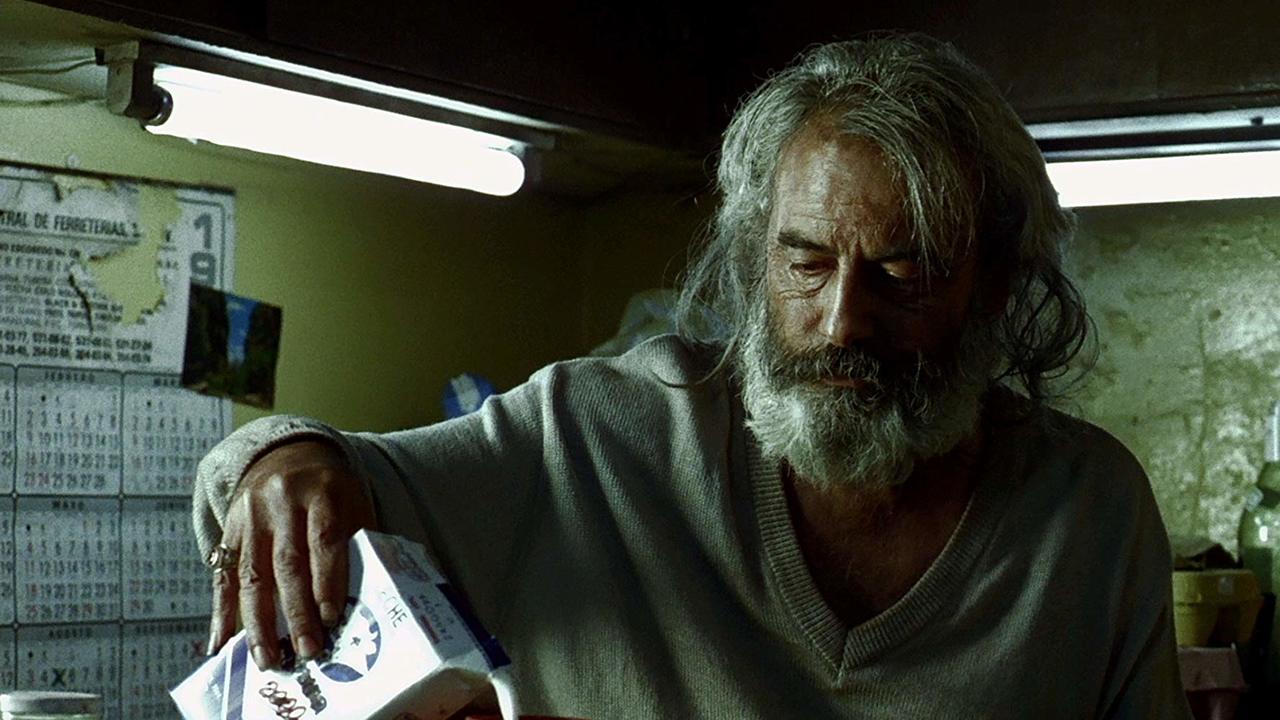 "Amores Perros" vuelve a los cines - Vimarsana News