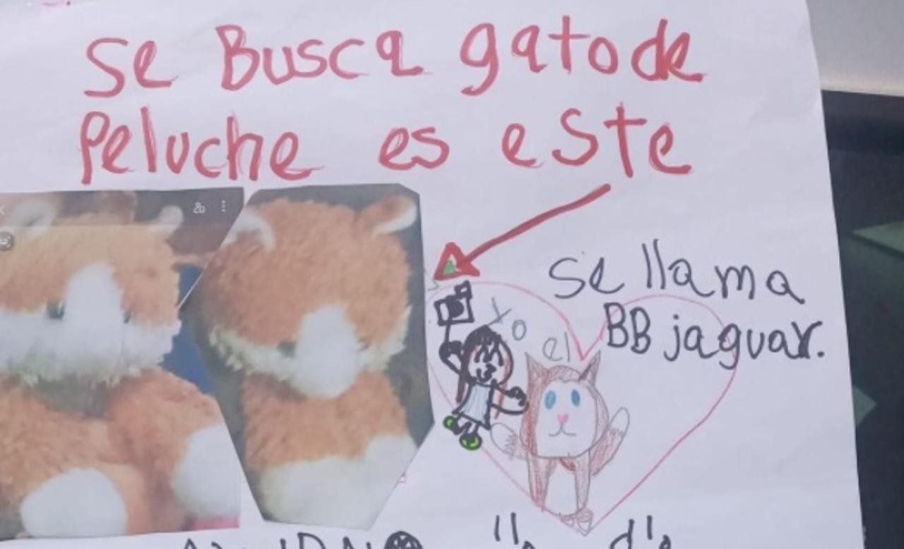 VIRAL: Niña pide ayuda para encontrara a su gato de peluche extraviado en cine de la CDMX - Vimarsana News