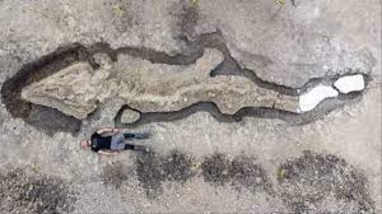 Empleado halla un 'dragón marino' fosilizado en una reserva natural inglesa