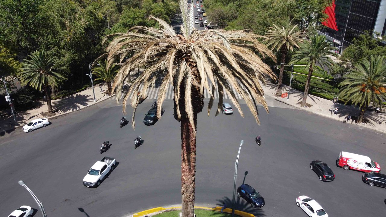 UNA MIRADA A M XICO TIEMPO A LAVALLE ADI S A LA PALMA