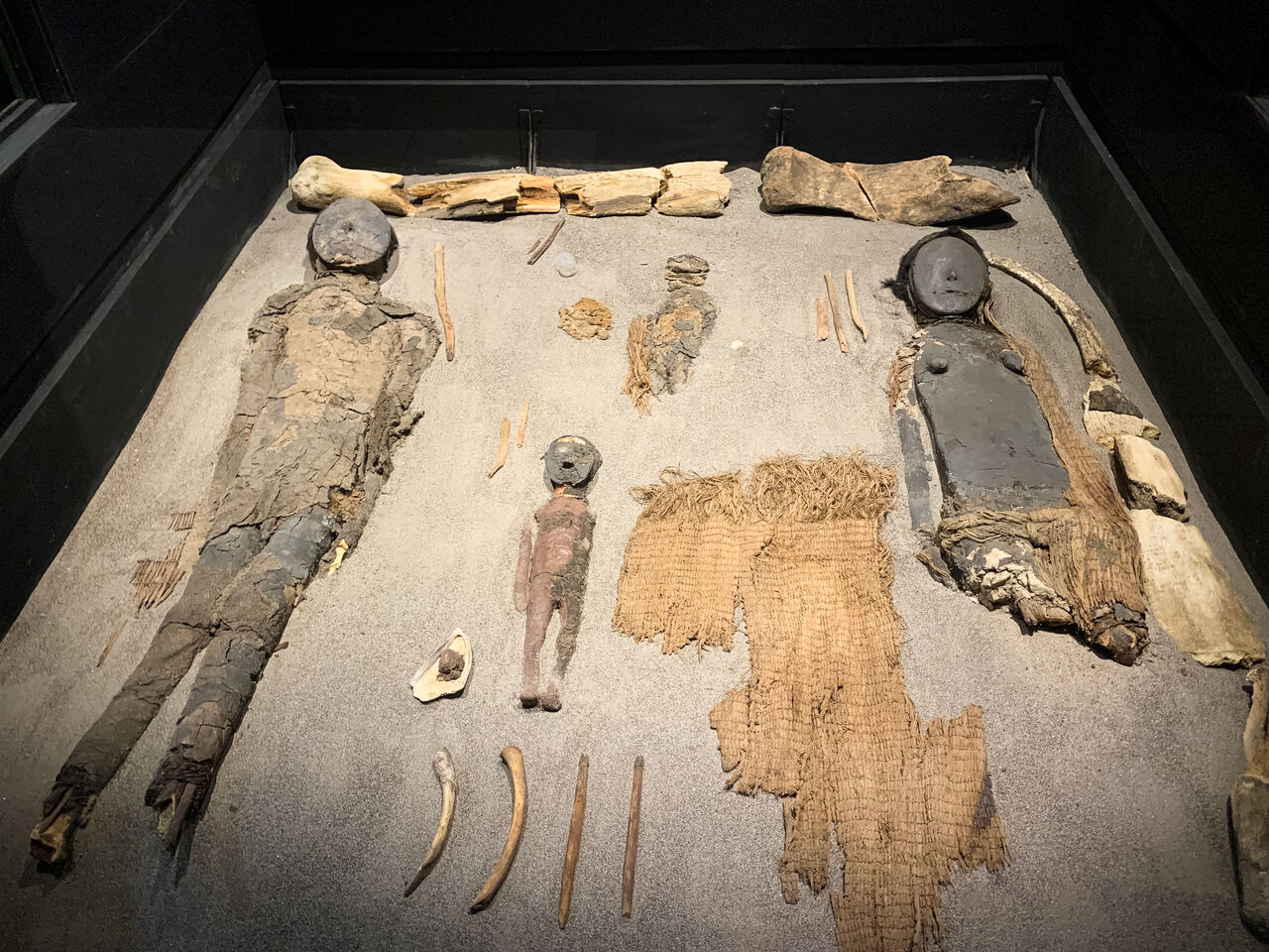 Las momias más antiguas del mundo buscan nuevo hogar