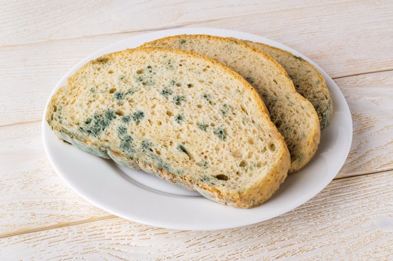 Cómo evitar moho en el pan